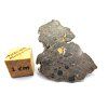 Lunární meteorit NEA 089 / 2,0 g / řez