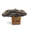 Lunární meteorit NEA 089 / 2,4 g / koncový řez
