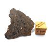 Lunární meteorit NEA 089 / 2,2 g / řez