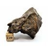 Meteorit NWA X 54,9 g