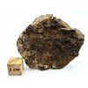 Meteorit NWA X 44,8 g