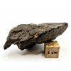 Meteorit NWA X 31,4 g