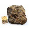 Meteorit NWA X 26,1 g