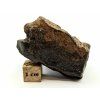 Meteorit NWA X 54,1 g