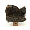 Meteorit NWA X 54,1 g