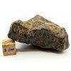Meteorit NWA X 50,5 g
