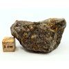 Meteorit NWA X 50,5 g