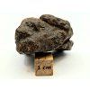 Meteorit NWA X 43,9 g