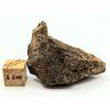 Meteorit NWA X 31,7 g