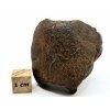 Meteorit NWA X 60,8 g