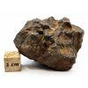 Meteorit NWA X 60,8 g