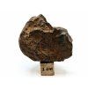 Meteorit NWA X 60,8 g