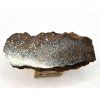 Meteorit NWA X 2,6 g / řez