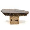 Meteorit NWA X 2,6 g / řez