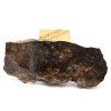 Meteorit NWA X 2,6 g / řez