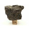 Meteorit NWA X 42,3 g