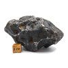 Meteorit Campo del Cielo 744 g