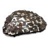 Meteorit Sericho 68,5 g / řez