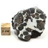 Meteorit Sericho 36,4 g / koncový řez