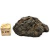 Meteorit Sericho 36,4 g / koncový řez