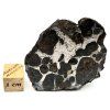 Meteorit Sericho 36,4 g / koncový řez