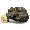 Meteorit Sericho 36,4 g / koncový řez