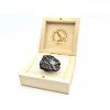 Meteorit Sericho 36,4 g / koncový řez