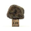 Meteorit Tisserlitin 007 / Eucrit / 14,5 g