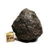 Meteorit Tisserlitin 007 / Eucrit / 83,9 g