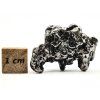 Meteorit Campo del Cielo 17,9 g