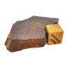 Meteorit NWA X 18,3 g / řez