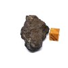 Meteorit NWA 16415 (CO3) / 27,4 gr.