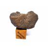 Meteorit Abadla 004 / Winonait / 5,7 g