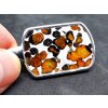 Přívěsek meteorit Pallasit 45x25mm