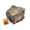 Meteorit NWA 869 / 113,5 g