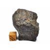 Meteorit NWA 869 / 113,5 g