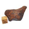 Meteorit Mundrabilla 41,5 g