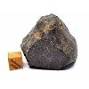 Meteorit NWA 869 / 78,2 g