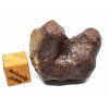 Meteorit Mundrabilla 35,6 g