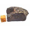 Meteorit NWA 869 / 63,9 g