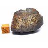 Meteorit NWA 869 / 63,9 g