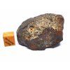 Meteorit NWA 869 / 63,9 g