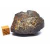 Meteorit NWA 869 / 63,9 g