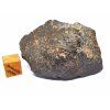 Meteorit NWA 869 / 64,2 g