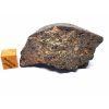 Meteorit NWA 869 / 64,2 g