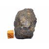 Meteorit NWA 869 / 64,2 g