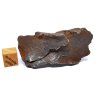 Meteorit Gebel Kamil 84,8 g