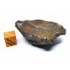 Meteorit Gebel Kamil 88,5 g
