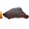 Meteorit NWA X 6,5g / řez