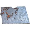 Meteorit Seymchan / Pallasit / 422g / řez